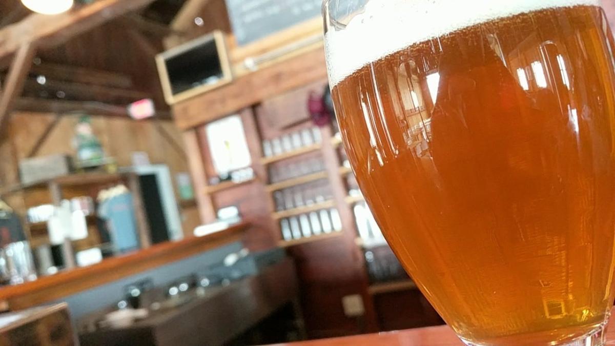 Plan Your Visit Abandon Brewing
