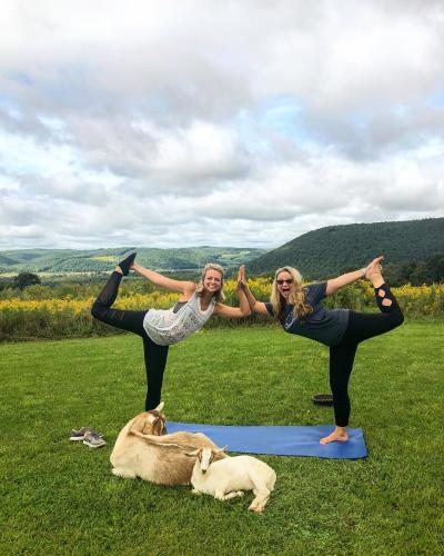 11 Must-Have Photos for Your FLX Vacation Goat yoga by angieaway