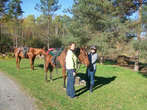 Glamping Getaway D & K Ranch