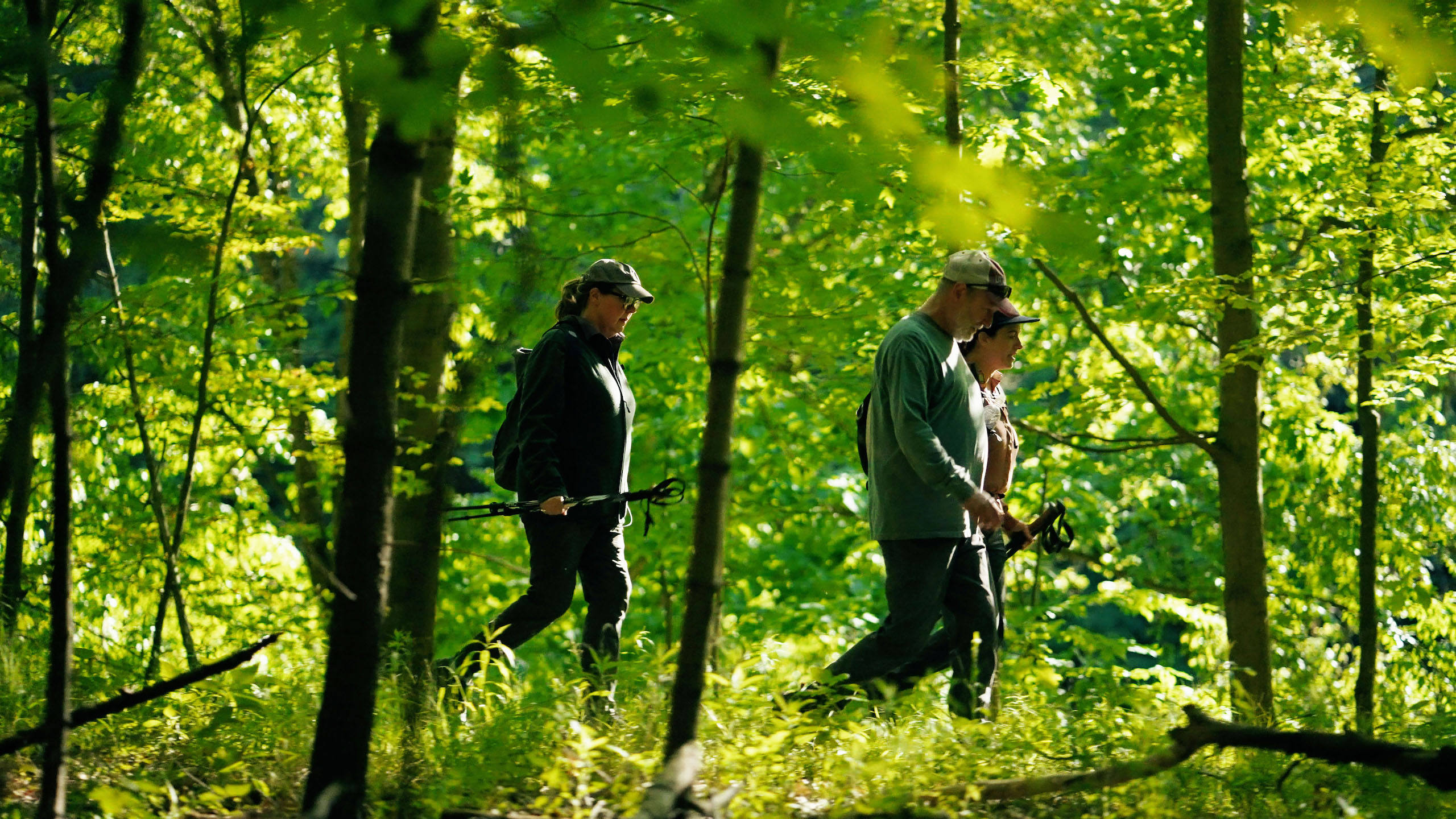 Hiking Hiking