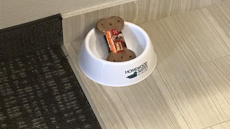 Far From a “Ruff” Life: Dog-Friendly Stops in the Finger Lakes Homewood Suites Dog