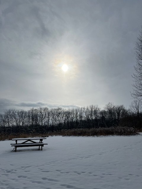 Find Hidden Gems of the Finger Lakes Region - Move Slowly and Narrow Your Focus a picnic table in a snowy field