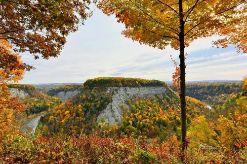 Holiday Gift Shopping in the Finger Lakes… Letchworth Photo from Larry Tetamore