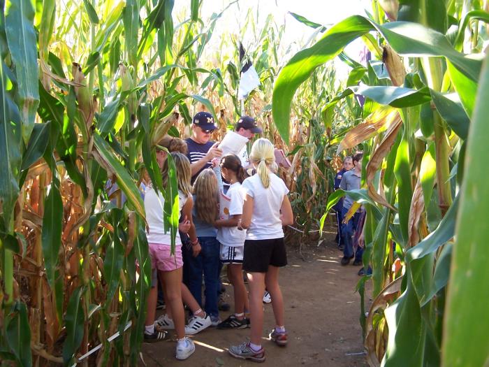 Finger Lakes Fun for Everyone Long Acres Farm