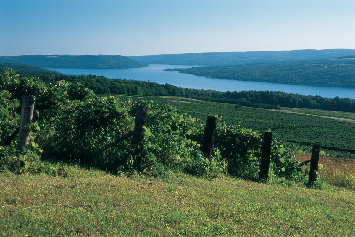 Steuben County Steuben County