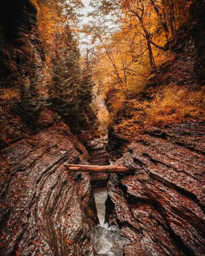 11 Must-Have Photos for Your FLX Vacation Fall by seankingphotography