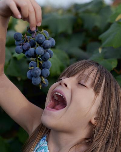 11 Must-Have Photos for Your FLX Vacation Grapes by travelin_family