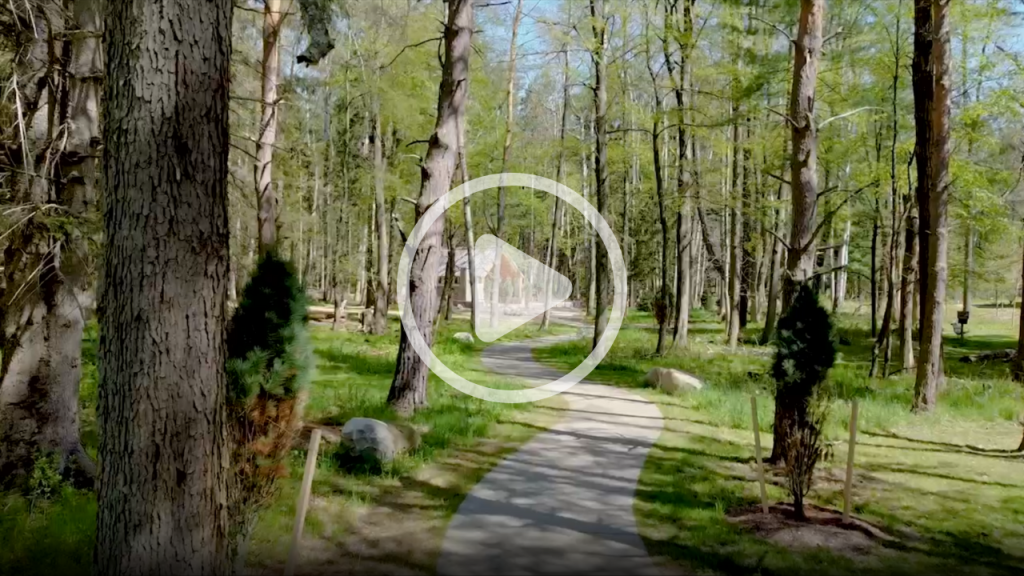 Find Hidden Gems of the Finger Lakes Region - Visit an Accessible Trail or Garden
